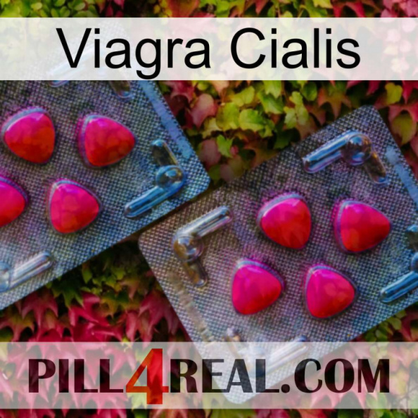 Viagra Cialis 14